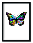 DECOR | PRINT | Colourful Butterfly - BLOCK Shop ZA